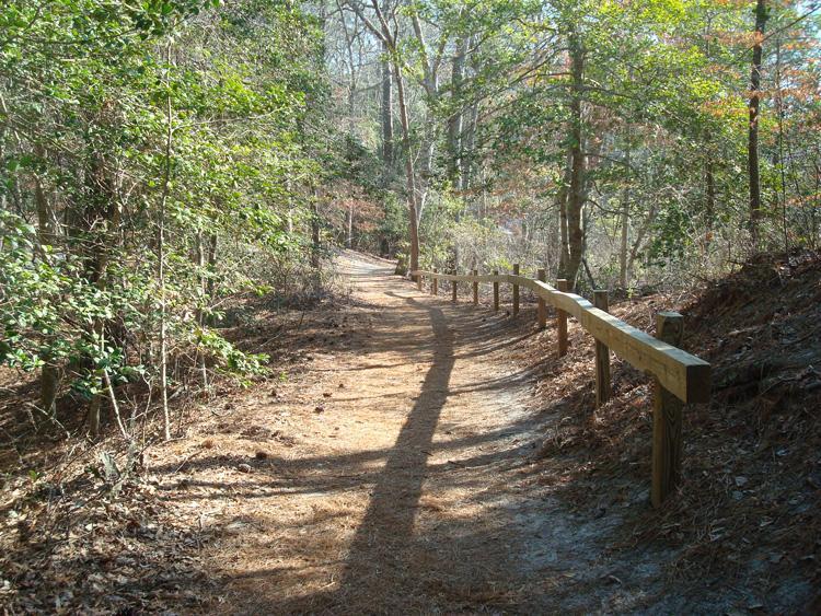 A winding dirt path surrounded by trees, with sunlight filtering through the leaves. A wooden railing runs alongside the path, and the ground is covered with pine needles and fallen leaves, creating a natural trail effect. First Landing State Park mountain bike trail.