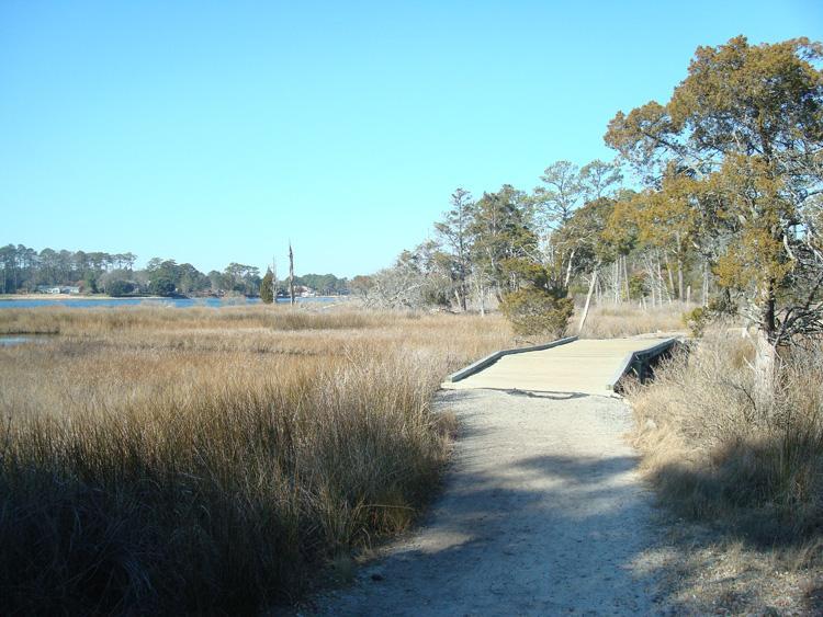 A pathway leading through tall grass and marshland, with a wooden boardwalk extending into the distance. In the background, trees line the shore of a body of water under a clear blue sky. First Landing State Park mountain bike trail.