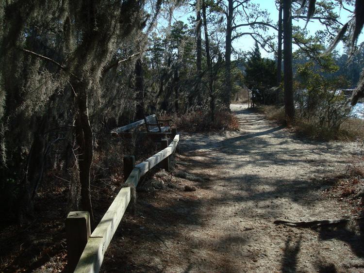 A peaceful dirt path winding through a wooded area, with trees draped in Spanish moss. A wooden bench sits beside the path, and the trail leads towards a view of a body of water in the distance. Sunlight filters through the trees, creating a serene atmosphere. First Landing State Park mountain bike trail.