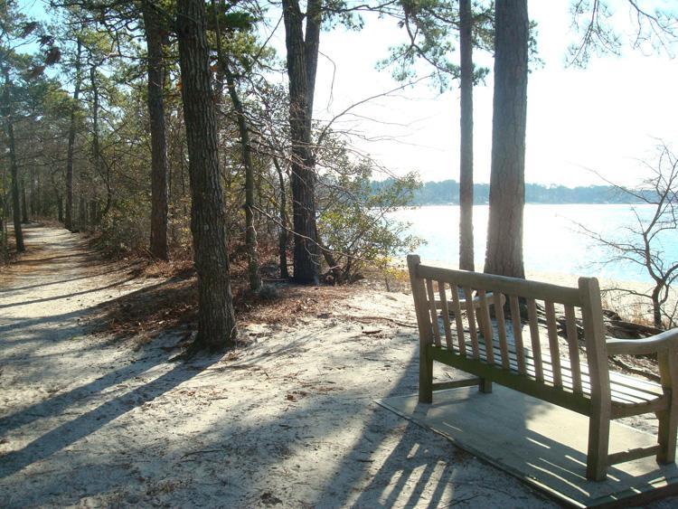 A serene path lined with trees leads to a tranquil lakeside scene. On the right, a wooden bench sits on a sandy surface, inviting visitors to sit and enjoy the natural surroundings, while sunlight filters through the branches, casting gentle shadows on the ground. First Landing State Park mountain bike trail.