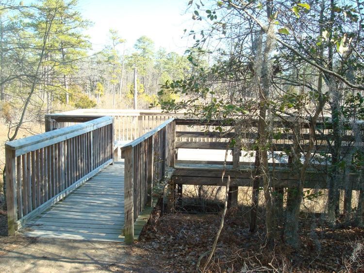 Wooden boardwalk leading into a natural area, surrounded by trees and greenery, with a raised viewing platform visible in the background. First Landing State Park mountain bike trail.