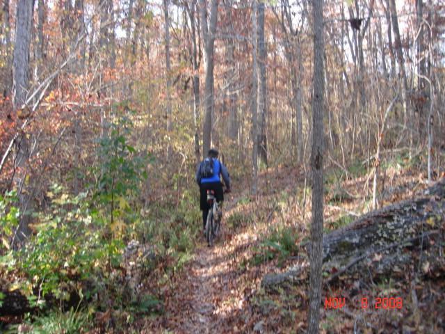 A person biking along a narrow trail surrounded by trees in a forest during autumn, with fallen leaves covering the ground and colorful foliage in the background. Syllamo Trails mountain bike trail.