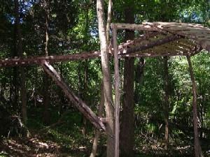 A wooden structure built among trees, resembling a small platform or shelter, with branches and logs used as supports. The surrounding area is lush with green foliage, indicating a forested environment. Vassar Farms mountain bike trail.