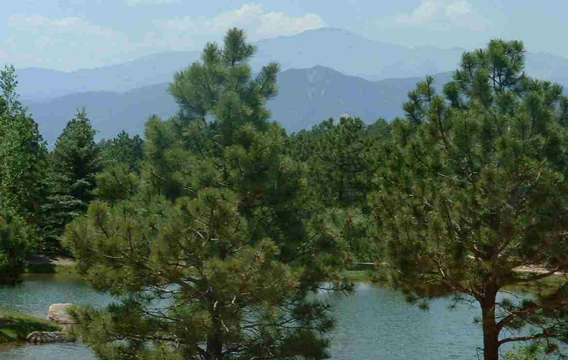 A serene landscape featuring a calm lake surrounded by lush green trees, with distant mountains visible under a clear blue sky. Fox Run Regional Park mountain bike trail.
