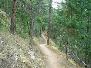 A winding dirt trail surrounded by tall green trees in a forested area. The path is narrow and follows a gentle slope, creating a natural and serene atmosphere. Betasso Preserve mountain bike trail.