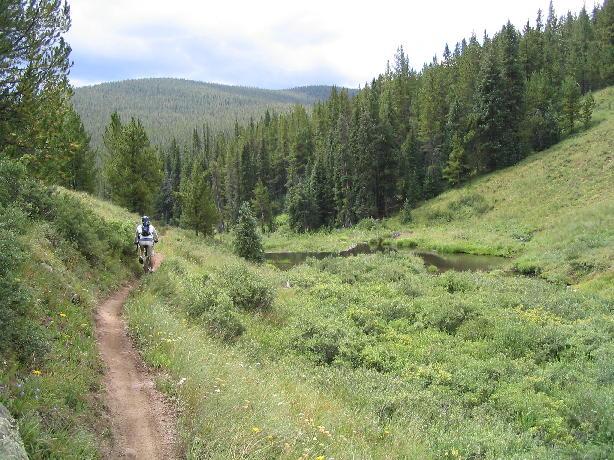 A scenic trail winding through a lush green landscape, with a cyclist riding along the dirt path. On one side, dense pine trees rise on a hillside, while on the other, a small pond reflects the surrounding nature under a cloudy sky. Reno / Flag / Bear / Deadman Loop mountain bike trail.