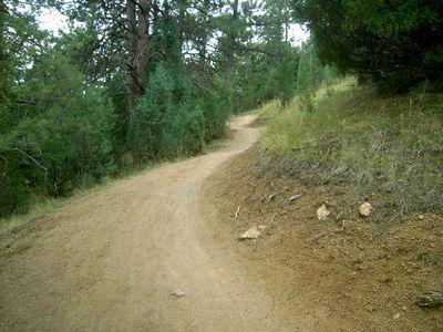 A winding dirt path through a forested area, surrounded by green trees and shrubbery. The path curves gently to the right, with a mixture of soil and small rocks along the edges. Betasso Preserve mountain bike trail.