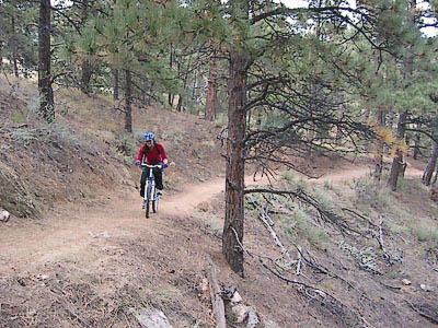 A person riding a mountain bike on a winding trail through a dense forest of pine trees. The terrain is uneven, with dirt paths and scattered rocks. The cyclist is wearing a helmet and a red jacket. Betasso Preserve mountain bike trail.