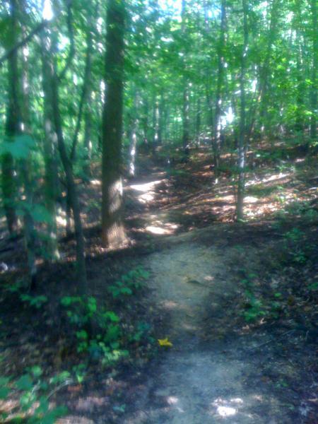 A winding dirt path through a lush, green forest with trees on either side, sunlight filtering through the leaves, creating a serene and natural atmosphere. Fairland Recreational Park mountain bike trail.