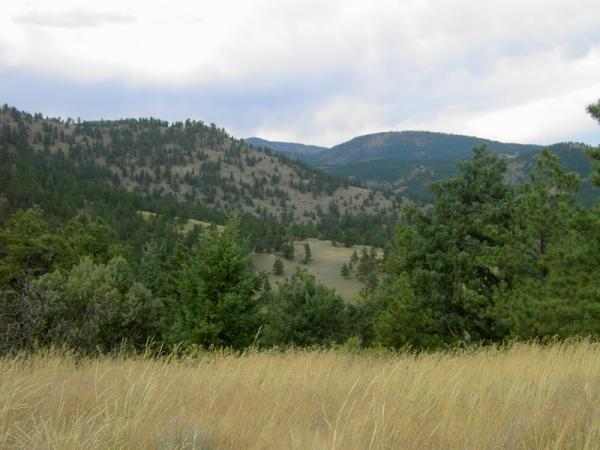 A scenic view of rolling hills and mountains covered in greenery, with a foreground of tall grass. The sky is partly cloudy, creating a tranquil, natural landscape. Betasso Preserve mountain bike trail.
