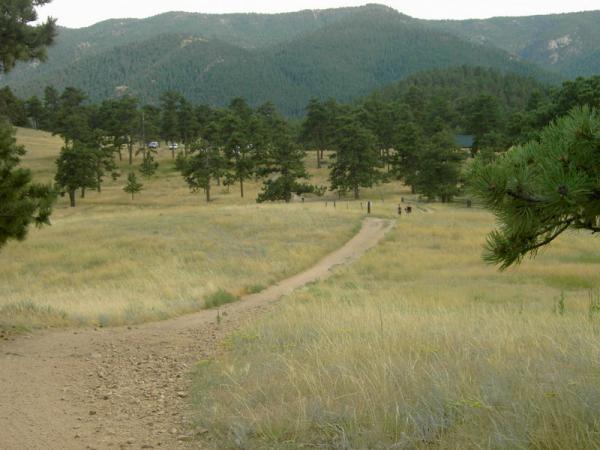 A winding dirt path leads through a grassy meadow surrounded by tall pine trees and distant mountains under a cloudy sky. Betasso Preserve mountain bike trail.