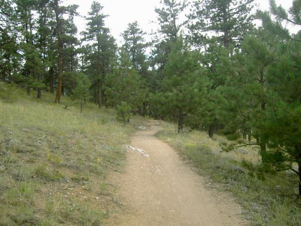 A dirt path winding through a forested area, lined with tall green trees and grassy slopes, under a cloudy sky. Betasso Preserve mountain bike trail.