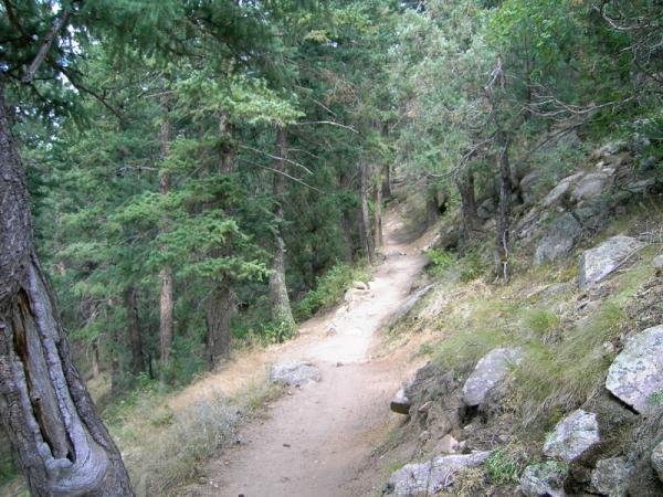 A winding dirt trail meanders through a lush forest, flanked by tall trees and rocky outcrops. The path is surrounded by greenery, with patches of grass and small stones visible on the ground. The scene evokes a sense of tranquility and the beauty of nature. Betasso Preserve mountain bike trail.