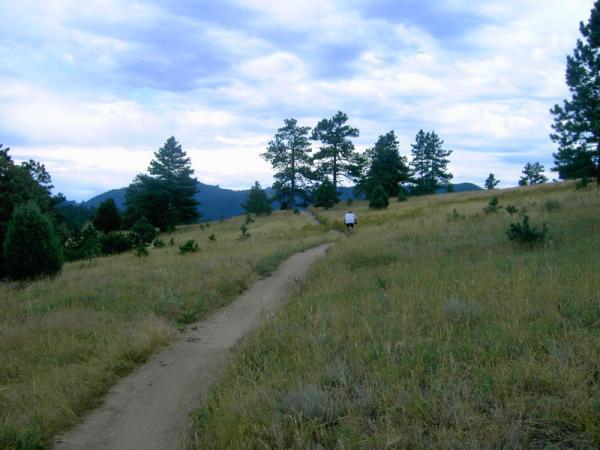 A person walking along a dirt path in a grassy field, surrounded by trees and mountains under a cloudy sky. Betasso Preserve mountain bike trail.