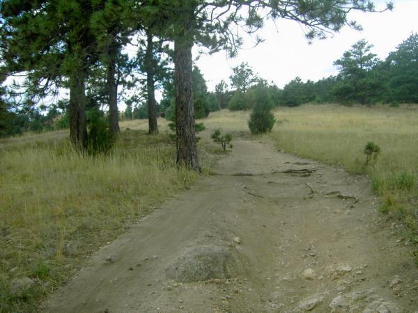 A dirt path winding through a grassy area with scattered trees and shrubs, leading into a wooded landscape under a cloudy sky. Betasso Preserve mountain bike trail.
