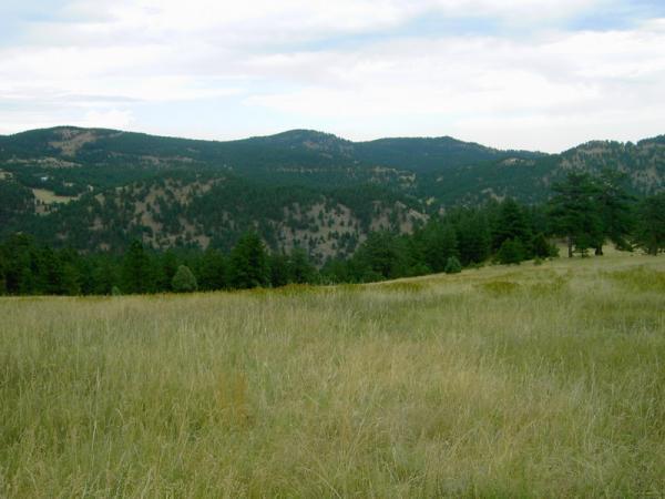 A scenic view of rolling green hills and mountains under a cloudy sky, featuring a foreground of tall grass and scattered trees. The landscape showcases a mix of tree-covered slopes and open grassy areas, creating a tranquil natural setting. Betasso Preserve mountain bike trail.