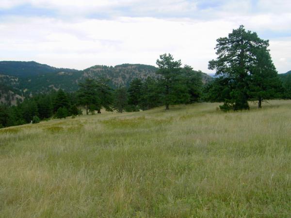 A serene landscape featuring rolling hills covered in grass, scattered with trees against a backdrop of distant mountains and partly cloudy skies. Betasso Preserve mountain bike trail.