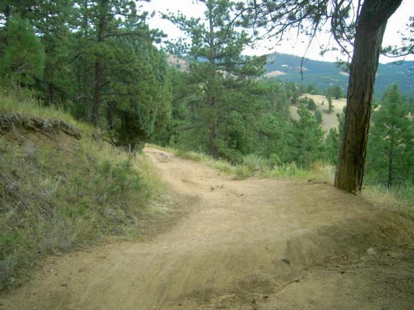 A winding dirt trail surrounded by tall pine trees, leading through a scenic forest landscape with rolling hills in the background. The path is framed by grass and shrubs, suggesting a peaceful outdoor setting. Betasso Preserve mountain bike trail.