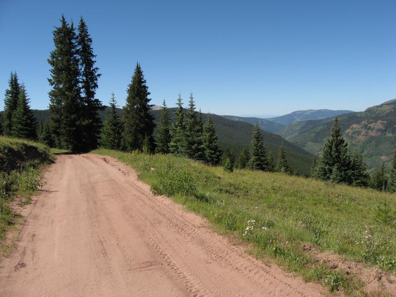 A winding dirt road surrounded by lush green grass and tall pine trees, with a panoramic view of rolling hills and mountains under a clear blue sky. Reno / Flag / Bear / Deadman Loop mountain bike trail.