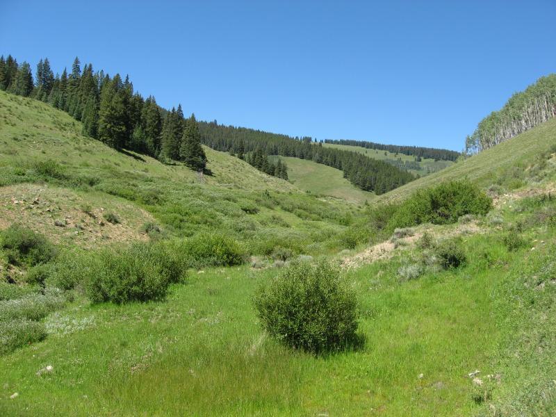 A lush green valley surrounded by gently sloping hills, with scattered bushes and trees. A clear blue sky is overhead, creating a bright and sunny atmosphere. Reno / Flag / Bear / Deadman Loop mountain bike trail.