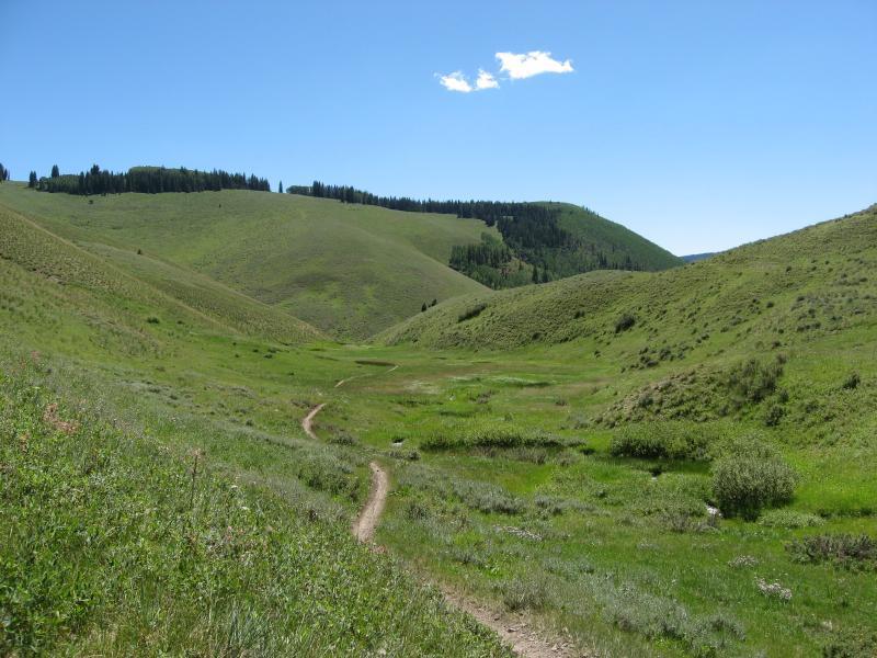 A scenic view of a lush green valley surrounded by rolling hills under a clear blue sky, featuring a winding dirt path through the grass. Various patches of vegetation add texture to the landscape, and trees are visible on the distant hills. Reno / Flag / Bear / Deadman Loop mountain bike trail.