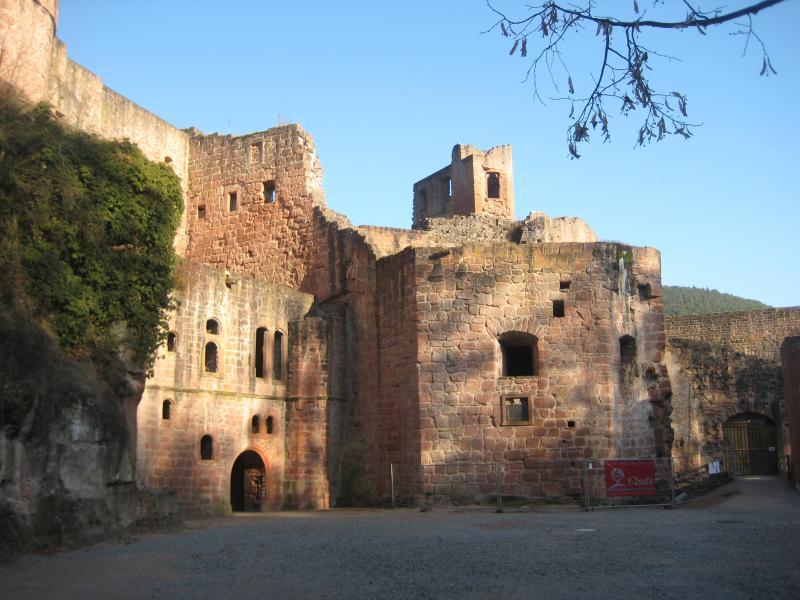 A weathered stone castle ruin surrounded by trees, with a clear blue sky above. The structure features various openings and towers, showcasing elements of medieval architecture, while patches of green foliage cling to the walls. Sunlight casts shadows across the rocky surfaces, highlighting the castle's historical character. Hardenburg/Limburg Trail mountain bike trail.