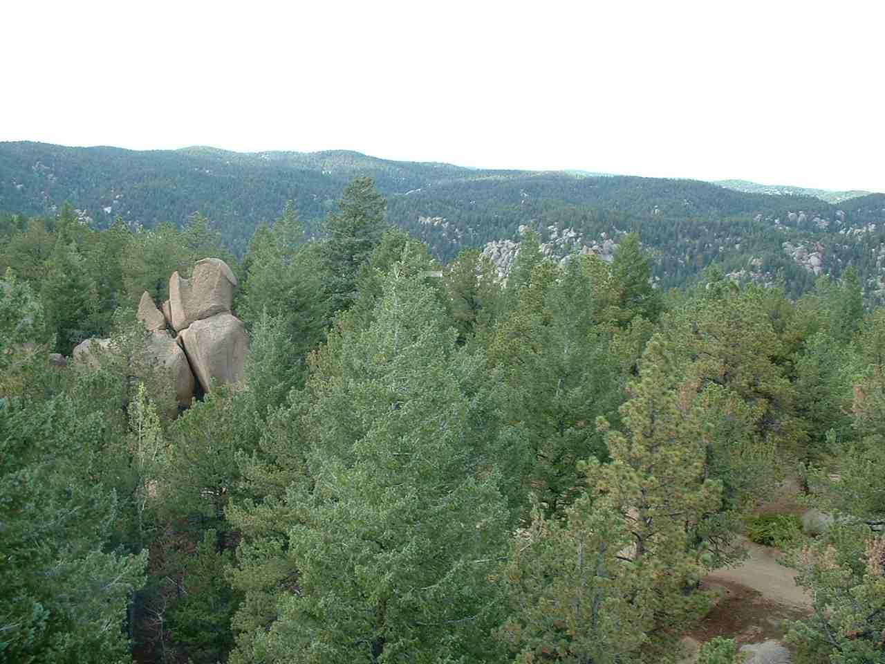 A scenic view of a dense forest featuring tall green trees, with large boulders partially visible among the foliage. In the background, rolling hills covered in trees extend into the distance under a bright sky.  Winding Stairs Trail mountain bike trail.