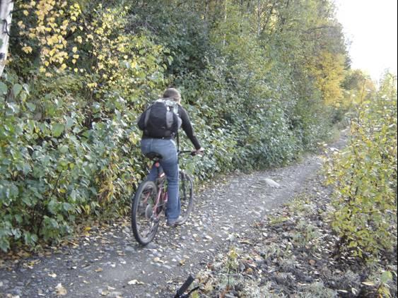A person riding a mountain bike on a narrow, winding trail surrounded by dense greenery and autumn-colored foliage. The cyclist is wearing a backpack and is seen from the back as they navigate the path. Eklutna Lake Lakeside Trail mountain bike trail.