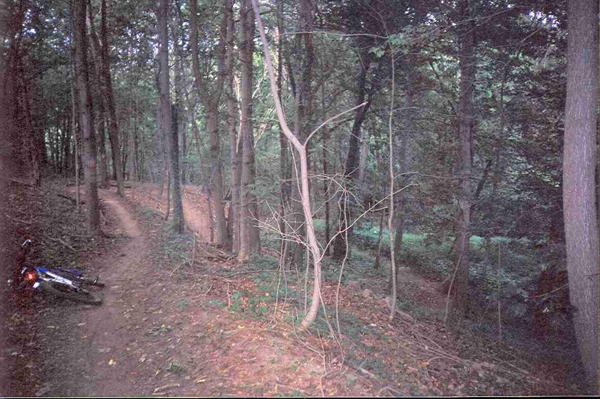 A dirt path winding through a dense forest, with tall trees lining the trail. A mountain bike lies on its side near the path, and a second path can be seen in the background, disappearing into the greenery. The scene is peaceful and inviting for outdoor activities. Middlesex Fells Reservation mountain bike trail.