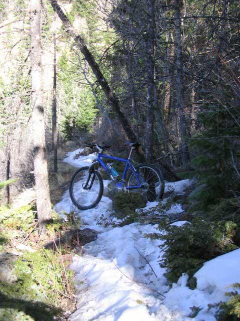 A blue mountain bike resting on a narrow, snow-covered trail surrounded by tall trees and greenery in a forest setting. Silver Creek Trail mountain bike trail.