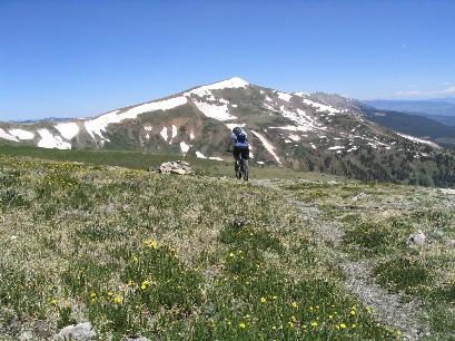 A cyclist riding on a mountain trail surrounded by lush green grass and scattered yellow wildflowers, with snow-capped peaks in the background under a clear blue sky. Wheeler National Recreation Trail mountain bike trail.
