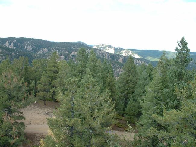 A scenic view of a forested landscape featuring tall green pine trees, with distant mountains visible in the background under a partly cloudy sky. A dirt path winds through the trees, leading into the natural setting. Winding Stairs Trail mountain bike trail.