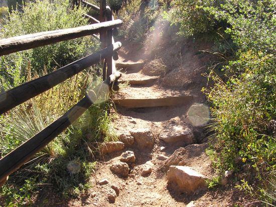 A narrow dirt path with wooden steps leading up, surrounded by green vegetation and a wooden railing. Sunlight filters through the trees, creating a warm, inviting atmosphere. The ground is uneven with rocks and loose soil, indicating a natural hiking trail. Barr Trail / Pikes Peak mountain bike trail.