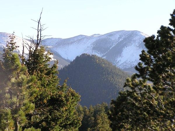 Scenic view of snow-capped mountains rising in the background, framed by green coniferous trees in the foreground. The sunlight illuminates the landscape, showcasing the natural beauty of the mountainous region. Barr Trail / Pikes Peak mountain bike trail.