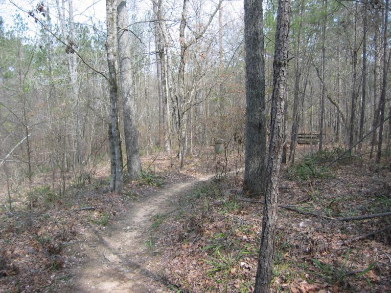 A dirt path winding through a wooded area with bare trees and scattered leaves, leading to a clearing partially obscured by foliage. Arrowhead Park mountain bike trail.
