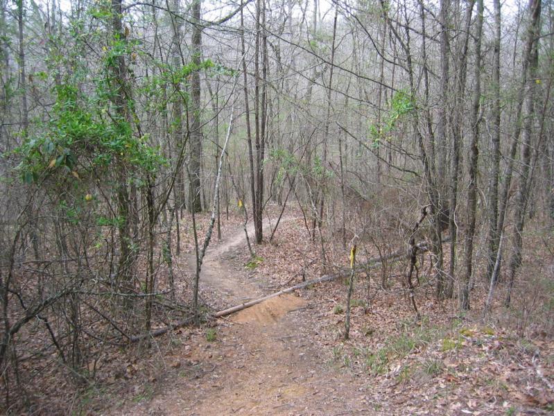 A winding dirt trail surrounded by bare trees and sparse foliage, leading through a wooded area. Fallen leaves cover the ground, and small yellow markers are visible along the path, indicating the trail direction. Arrowhead Park mountain bike trail.