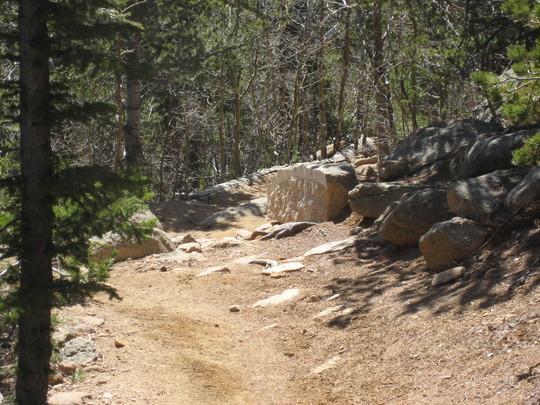 A dirt hiking path winding through a forested area, lined with rocks and surrounded by trees. Sunlight filters through the branches, illuminating the trail and the natural terrain. Barr Trail / Pikes Peak mountain bike trail.