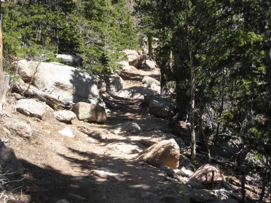 A narrow hiking trail winding through a forested area, surrounded by large rocks and trees. Sunlight filters through the foliage, creating dappled shadows on the path. Barr Trail / Pikes Peak mountain bike trail.