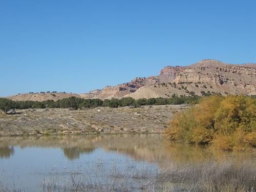 Serene landscape featuring a calm body of water reflecting the sky, surrounded by rocky hills and sparse vegetation. In the foreground, a patch of golden trees contrasts with the muted colors of the mountains in the background under a clear blue sky. Prime Cut mountain bike trail.