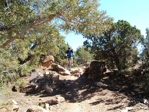 A mountain biker navigating a rocky trail surrounded by dense greenery and trees on a sunny day. Prime Cut mountain bike trail.