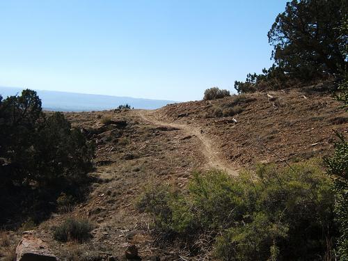 A winding dirt trail leads through a dry, grassy landscape with scattered shrubs and trees under a clear blue sky. The terrain is uneven, showcasing rocky patches and gentle slopes. Prime Cut mountain bike trail.