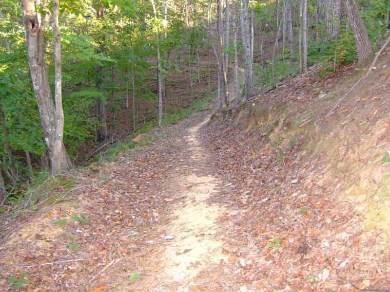 A narrow dirt trail winding through a lush, green forest, surrounded by tall trees and scattered autumn leaves on the ground. The path leads gently upwards, giving a sense of adventure in a natural setting. Woodring Branch mountain bike trail.
