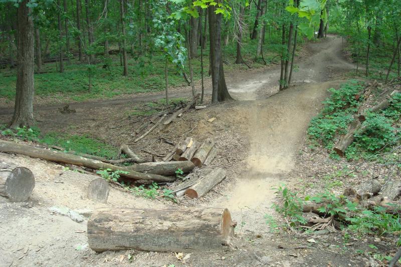 A trail in a lush green forest, featuring a dirt path curving through the trees. The landscape includes logs and wooden debris along the sides of the trail, with a small jump ramp visible in the foreground. The surrounding area is filled with dense foliage and a mix of sunlight and shade. Novi Tree Farm (Lakeshore Park) mountain bike trail.