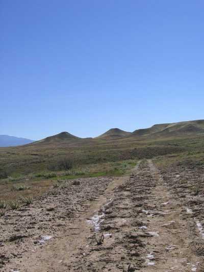A dirt path stretches through a dry landscape, leading toward gentle green hills under a clear blue sky. The terrain features sparse vegetation and tracks in the soil. Gunnison River Bluffs Trail System mountain bike trail.
