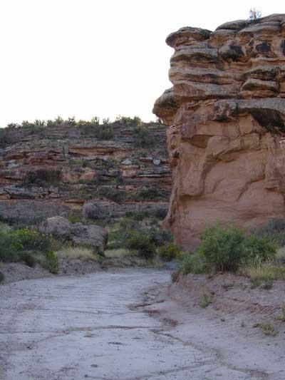 A dirt path leads through a rocky landscape, flanked by a large, weathered rock formation on the right and layered cliffs in the background. Green shrubs and sparse vegetation are scattered along the path, under a clear sky. Kokopelli Trail mountain bike trail.