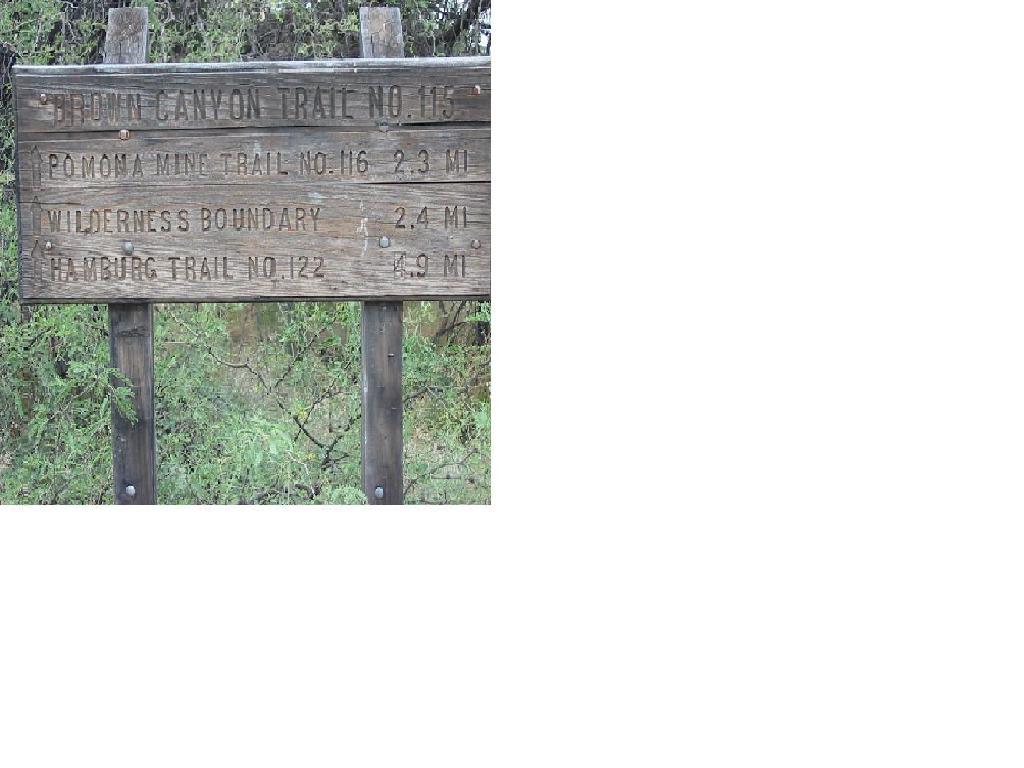 Wooden trail sign with the following trail names and distances: "Brown Canyon Trail No. 115," "Pomona Mine Trail No. 116 (2.3 miles)," "Wilderness Boundary (2.4 miles)," and "Hamburg Trail No. 122 (4.9 miles)," surrounded by greenery. Brown Canyon mountain bike trail.