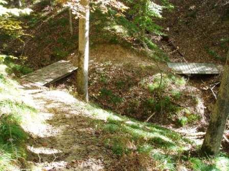A wooded area featuring a narrow trail leading to two wooden bridges that span a small ravine. The scene is illuminated by sunlight filtering through the trees, highlighting the lush greenery and fallen leaves on the ground. Valley Branch Retreat mountain bike trail.