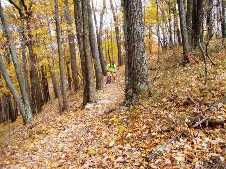 A cyclist riding on a wooded trail surrounded by autumn foliage, with fallen leaves covering the ground and trees displaying vibrant fall colors. Brown County Park mountain bike trail.