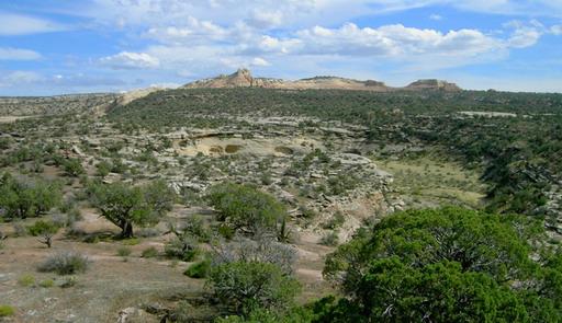 A panoramic view of a desert landscape featuring rocky formations and sparse vegetation, including bushes and trees, under a partly cloudy sky. Kokopelli Trail mountain bike trail.