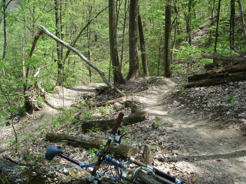 A mountain bike rests on the ground in a lush green forest, with a winding dirt trail visible ahead. The path is surrounded by tall trees and scattered logs, illustrating a tranquil outdoor setting ideal for biking or hiking. Brown County Park mountain bike trail.